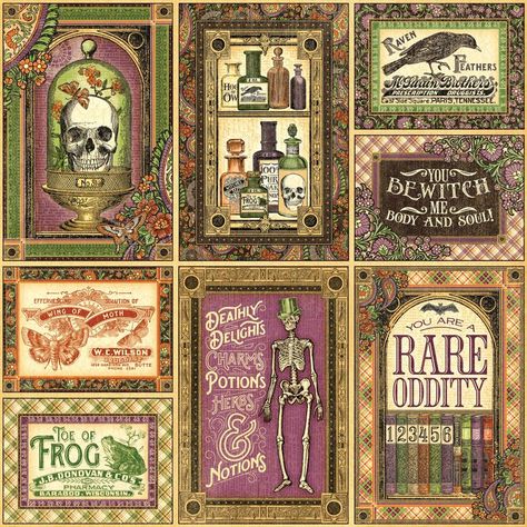 rare oddities Oddities Cabinet, Rare Oddities, Vintage Labels Printables Free, Oddities Collection, Alice In Wonderland Crafts, Vampire Series, Journal Making, Cabinet Of Curiosities, Paper Crafts Card