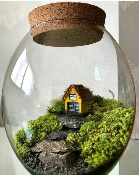 MusgoVerdeTerrarios Instagram @musgoverdeterrarios Closed Terrarium Plants, Terrarium Scene, Diy Succulent Terrarium, Plants In Jars, Plants In Bottles, Beautiful Terrariums, Mini Terrarium, Fairy Garden Designs, Fairy Garden Crafts