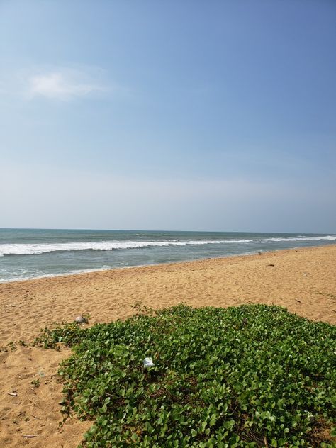 Kappil Beach, Sri Lanka Beach, Instagram Profile Pic, Kandy, Profile Pic, Pretty Lyrics, Sri Lanka, Instagram Profile, Wallpapers