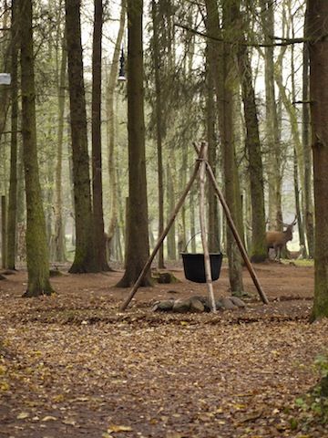 Schnitzeljagd am Kindergeburtstag unter dem Motto "Asterix udn Obelix". Wer findet den Druidenkessel? Foto (c) kinderoutdoor.de Viking Party, Robin Hood, Baby Birthday, Kids Party, Birthday Parties, Tree Trunk, Birthday Party, Birthday, Quick Saves