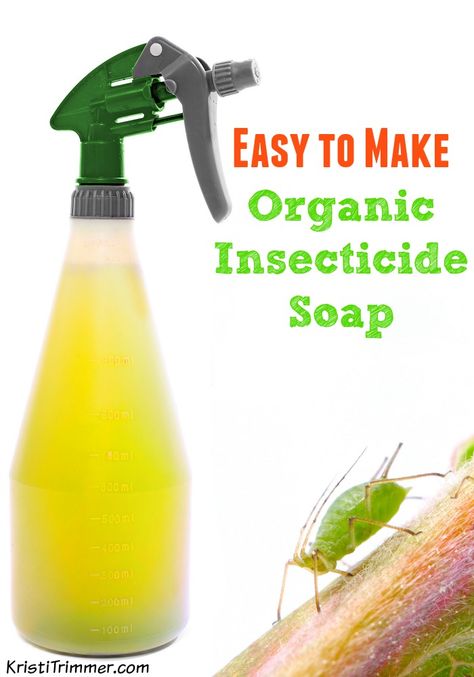 Ant Killer Recipe, Homemade Ant Killer, Gardening Business, Pest Spray, Organic Insecticide, Funny Vine, Landscape Gardening, Organic Pesticide, Insect Spray