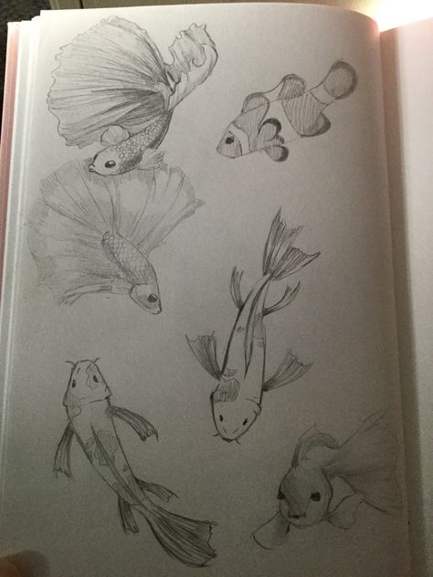 Sea Sketches, Beta Fish Drawing, Mullet Fish, Beach Drawing, Fish Drawing, Beta Fish, Doodle Pages, Mermaid Drawings, Fish Drawings