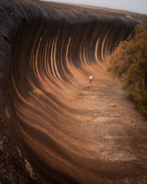 Australian Cities, Aus Travel, Traveling Australia, Bush Walk, Collection Moodboard, Australia Road Trip, Australia Trip, Australian Road Trip, Wave Rock