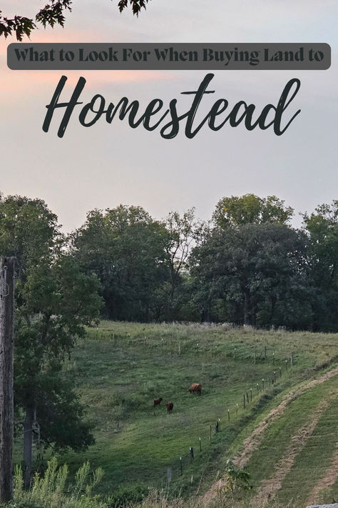 Buying land to start a homestead is a big decision, filled with dreams of self-sufficiency, fresh air, and perhaps even living off the grid. At Mahogany Acres, we believe choosing the right land is the foundation of any successful homestead journey. With this guide, I’ll walk you through what to look for when buying land to homestead. Buying Land For Homestead, Start A Homestead, Land Purchase, Live Off The Land, Buying Land, Living Sustainably, Living Off The Grid, Buy Land, Homestead Farm