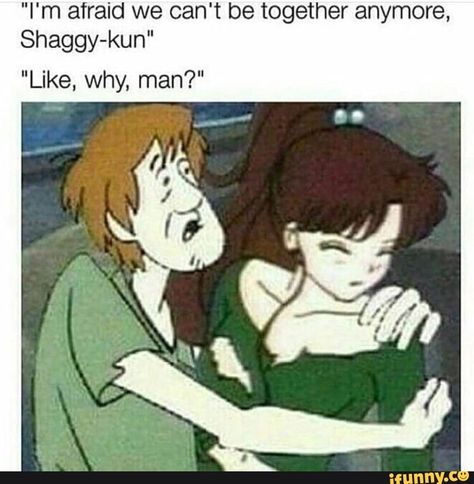 Scooby Doo Memes, Fun Jokes, Hilarious Memes, Memes Humor, Pewdiepie, Markiplier, Good Jokes, Lego Star Wars, Funny Comics