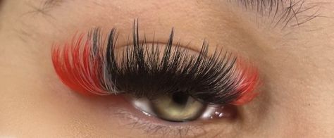 Orange Lash Extensions, Red Eyelash Extensions, Lash Patterns, Eyelash Ideas, Color Eyelash Extensions, Color Eyelashes, Lash Ideas, Colored Lashes, Lashes Fake Eyelashes