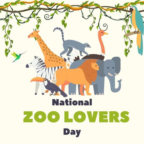 Each year on April 8th, National Zoo Lovers Day encourages us to explore our local zoos. Fun Fact: There are 350 zoos in the United States Will you be visiting your local zoo? Tell us in the comments #NationalZooLoversDay Lovers Day, Fun Fact, Idaho, The United States, Fun Facts, Encouragement, Jordan, United States, Instagram