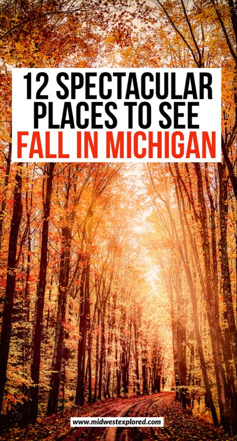 Brilliant autumn tree tunnel 30 Bucket List, Fall In Michigan, Michigan Fall, Michigan Adventures, Pictured Rocks, Michigan Road Trip, Camping 101, Usa Destinations, Michigan Vacations