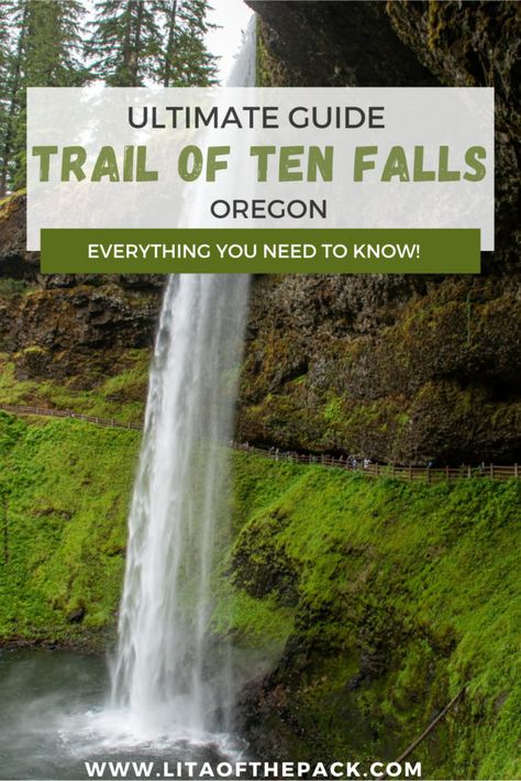 Visit one of the most incredible waterfall hikes in all of Oregon. The Trail of Ten Falls in Silver Falls State Park is a wonderful family-friendly hike that will leave you in awe. This hike is just an hour from Salem and 90 minutes from Portland, so it's the perfect day adventure. Get the complete guide here including when to go, what to pack, and how to get there. Add the wonderful Trail of Ten Falls to your bucket list for your next Oregon trip! Oregon Trip, Silver Falls State Park, Silver Falls, Waterfall Hikes, Oregon Travel, The Perfect Day, Usa Travel, What To Pack, The Trail