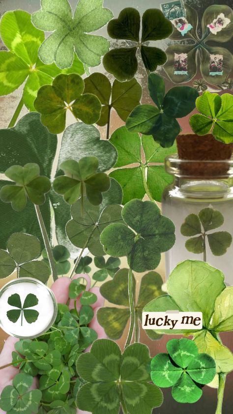 #fourleafclover #clover #lucky #aesthetic Clover Core Aesthetic, Four Leaf Clover Aesthetic, Clover Aesthetic, Lucky Aesthetic, Highlights Cover, Lucky Clover, Lucky Girl, Four Leaf, Leaf Clover