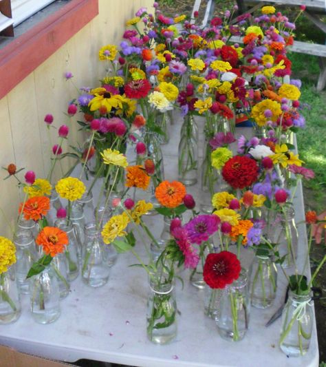 Birthday Party Flower Theme Centerpieces, Bright Floral Party Decorations, Zinnia Wedding Centerpieces, Bright Flower Centerpieces, Bright Garden Party, Bright Flower Bridal Shower Theme, Bright Hens Party, Wedding Zinnias, Flower Theme Graduation Party