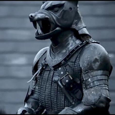 The hound Wolf Knight, Game Of Thrones Outfits, Soldier Helmet, Rory Mccann, Knight Helmet, Game Of Thrones Books, Game Of Thrones Tv, The Hound, The Elder Scrolls