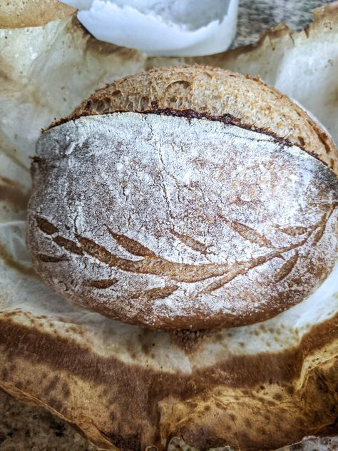 How to Make Half Whole Wheat Sourdough Bread – Maya's Kitchen Daydreams Whole Wheat Sourdough Bread, Wheat Sourdough Bread, Recipe Using Sourdough Starter, Whole Wheat Sourdough, Wheat Bread Recipe, Types Of Flour, No Knead Bread, Bread Box, Whole Wheat Bread