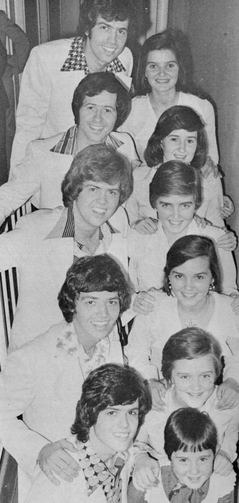 Nolan Sisters-Osmond Brothers Osmond Family, The Osmonds, Donny Osmond, Marie Osmond, Male Sketch, Art