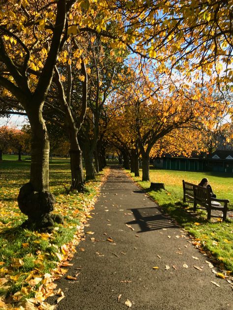 The Meadows Edinburgh, Edinburgh In Autumn, Meadows Edinburgh, Edinburgh Autumn, Edinburgh Trip, Edinburgh Aesthetic, Emily Core, British Autumn, Uk Autumn