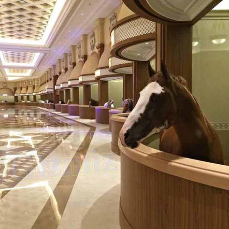 The world's most luxurious horse stables in Dubai | Amazing ... Horse Barn Ideas Stables, Dream Stables, Dream Horse Barns, Rasy Koni, Funny Horses, Dream Barn, Horse Stalls, Horse Crazy, Horse Stables