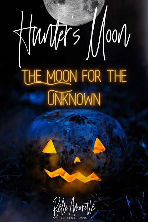 This October has so much energy! For Moon lovers, the Hunter’s Moon is a time for healing and exploring the unknown. It is a time to look for balance and connection. Learn more about the October Hunter’s Moon and the energy available for the new beginnings that await + Moon Activities we can try throughout the month! #fullmoonritual #fullmoonastrology #Fullmoonmanifesting #mooncyclemanifesting #fullmoonenergy #fullmoonmagic #moonwitch Moon Activities, Lunar Witch, Witchy Women, Cold Moon, Next Full Moon, Moon Magick, Witch Tips, Celtic Festival, Wiccan Crafts