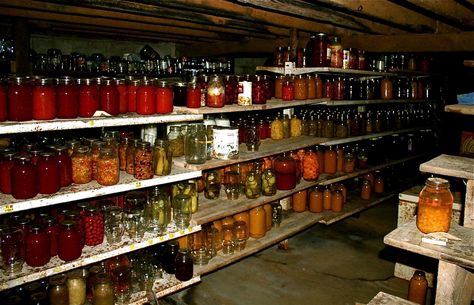 Amish homes, and Old Order Mennonite homes like this one belonging to some friends of ours in Kentucky, have a cellar full of canned goods from their summer gardens. They will can just about anything from fruit to hamburger. Homestead Pantry, Food Storage Rooms, Amish Culture, Amish House, Emergency Food Storage, Canned Food Storage, Root Cellar, Amish Recipes, Home Canning