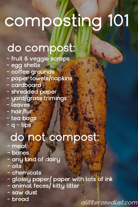 Composting For Beginners Apartment, Homesteading In An Apartment, Homestead 101, Indoor Composting, Composting For Beginners, Apartment Composting, Composting 101, Apartment Gardening, Homesteading Tips