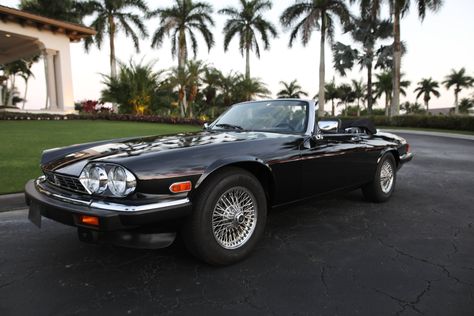 1991 Jaguar XJS Classic Collection Convertible with only 5,800... 90s Convertible, Jaguar Xjs Convertible, Jaguar Xjs, Black 90s, V12 Engine, Jaguar Xj, Classic Collection, Jaguar, Cars For Sale