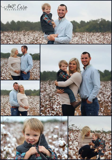 Cotton Field Minis 2016 - AECaroPhotography Cotton Field Photography Family, Cotton Family Pictures, Cotton Field Photography, Field Pictures, Linda Smith, Field Photoshoot, Cotton Pictures, Field Photography, Trish Stratus