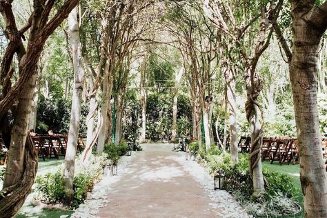 Hartley Botanica on Instagram: “Repost from @keithericksonentertainment • Venue Spotlight: Hartley Botanica 🌿 @hartleybotanica has been a family-run company since 1971,…” Hartley Botanica, Botanical Wedding, Instagram Repost, Wedding Venue, Wedding Venues, Country Roads, Plants, Floral, On Instagram