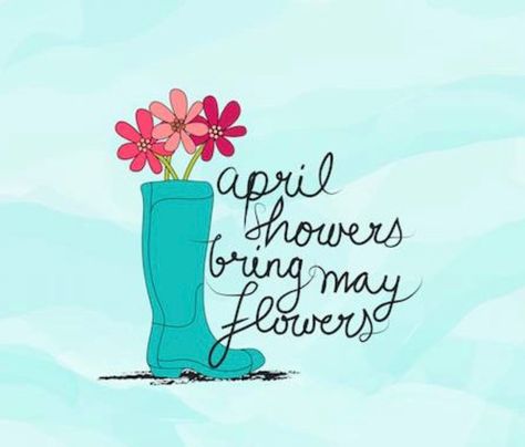 April showers ☔️ bring May flowers 🌺 May Flowers Wallpaper, Hello May Quotes, May Quotes, April Showers Bring May Flowers, Hello April, Valerie Parr Hill, Flowers Quotes, Spring Quotes, Department Of Education