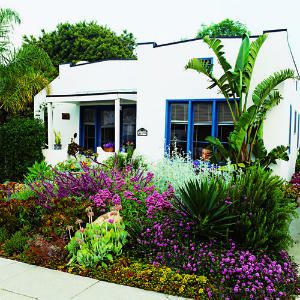 Low-water landscaping made easy  When Claudia Armann and her husband, Kurt, moved in, the first-time homeowners faced a boring patch of lawn and little else. Two years later, they enjoy a vibrant landscape composed of succulents and drought-tolerant perennials that win admiring looks from passersby. Lawn Free Yard, Low Water Landscaping, Low Water Plants, Drought Tolerant Perennials, Low Water Gardening, Drought Tolerant Garden, Drought Tolerant Landscape, Low Maintenance Landscaping, Front Lawn