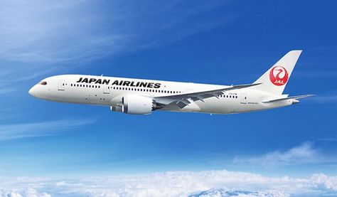 JAL Travel Bassinet, Boeing 787 8, Japan Airlines, Boeing 787 Dreamliner, Pram Liners, Boeing Aircraft, Boeing 767, Airbus A380, Air Plane