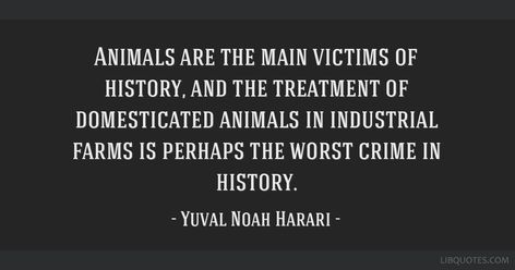 "Animals are the main victims..." - Yuval Noah Harari. Yuval Noah Harari Quotes, Yuval Noah Harari, Favorite Book Quotes, Daily Inspiration, Book Quotes, Favorite Books, Psychology, Quotes