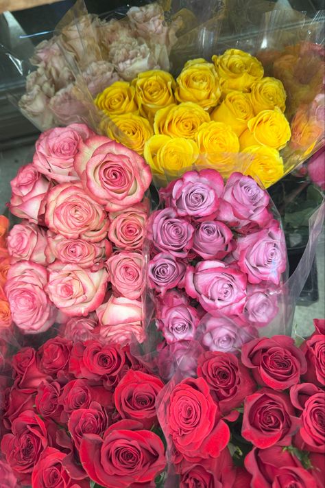 Do you prefer classic red roses are unique, colorful ones?
#Roses #ColorfulRoses #YellowRoses #PinkRoses #OrangeRoses #PurpleRoses #Rainbow #Flowers Simple Bouquet, Flowers And Gifts, Message Of Love, Bouquet Of Roses, Rose Arrangements, Colorful Roses, Orange Roses, Flowers Plants, Rainbow Flowers