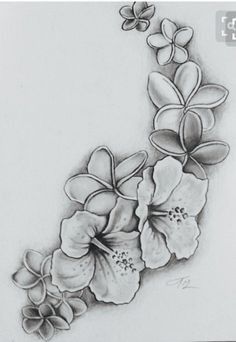 Small Tropical Flower Tattoos For Women, Plumeria Hibiscus Tattoo, Hawaiian Flower Tattoo Designs, Plumeria Tattoo Designs, Plumeria And Hibiscus Tattoo, Polynesian Flower Tattoo, Hawaiian Plumeria Tattoo, Filipino Flower Tattoo, Hibiscus And Plumeria Tattoo