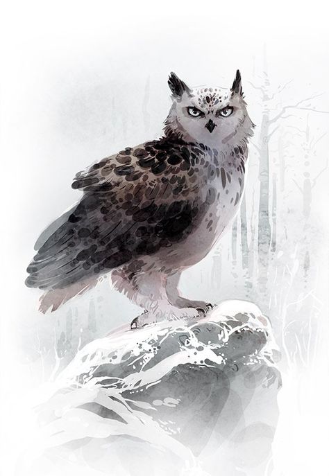 Snowy Owl Character Design, Owl Character Design Human, Fantasy Owl Art, Snow Owl Art, Owl Fantasy Art, Minna Sundberg, Owl Creature, Cute Owl Art, Owl Oc