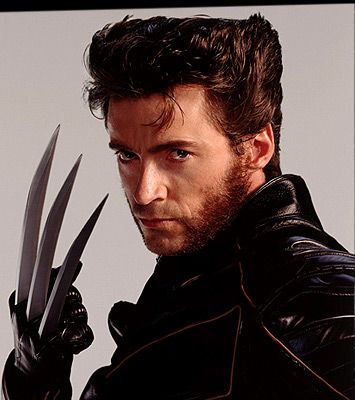 Favorite X-Men - Marvel Logan Wolverine Hugh Jackman, Xmen Apocalypse, Hugh Jackman Logan, Film Characters, X-men Apocalypse, Wolverine Hugh Jackman, Logan Wolverine, Wolverine Marvel, Deadpool Wolverine