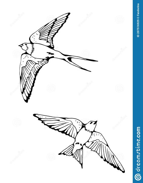 House Martin Tattoo, Martin Bird Tattoo, Bird Line Drawing, Martin Bird, House Martin, Basement Window, Birds Vector, Hand Pattern, Collection Illustration