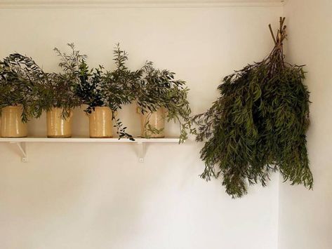 DIY Holiday Decor: Foraged Foliage Decorations in Designer Maria le Mesurier's Home - Gardenista Diy Holiday Decorations, Dried Citrus, Farmhouse Glam, Reading Diy, Birch Branches, Christmas In The City, Glam Christmas, Crabapple Tree, Diy Holiday Decor