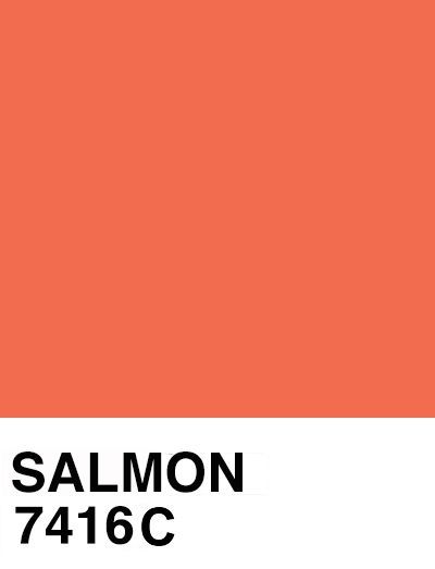 Good color.  But needs to be less intense less dense shade - and dapply Pantone Colours, Pantone Swatches, Pantone Palette, Pantone Colour Palettes, Pantone Colors, Color Inspo, Colour Board, Salmon Color, Color Swatch