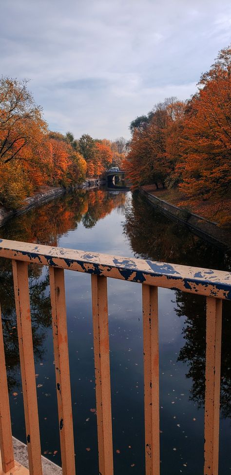 Autumn feels, fall aesthetic, Germany, Berlin Fall In Germany Aesthetic, Berlin Autumn, Autumn Germany, Germany Autumn Aesthetic, German Nature Aesthetic, Autumn In Berlin, Germany Town Aesthetic, Berlin Wall Fall, Fall Feels