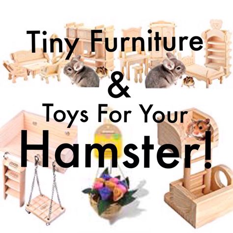 Adorable furniture and toys your hamster will love! All safe for chewing ( apart from the sand bath ). Diy Hamster Toys, Hamster Sand Bath, Hamster Diy Cage, Hamster Breeds, Hamster Diy, Hamster Life, Hamster Habitat, Hamster Bedding, Hamster Treats