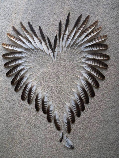 . Diy Turkey Feather Decor, Crafts To Do With Feathers, Feather Display Ideas, Chicken Feather Crafts, Feather Project, Indigenous Traditions, Diy Feathers, Meditation Station, Feather Signs