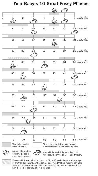 Baby fussiness chart... The wonder weeks Wonder Weeks Chart, Wonder Weeks, Baby Information, Baby Schedule, Baby Growth, Baby Advice, Foto Baby, Baby Prep, Baby Time