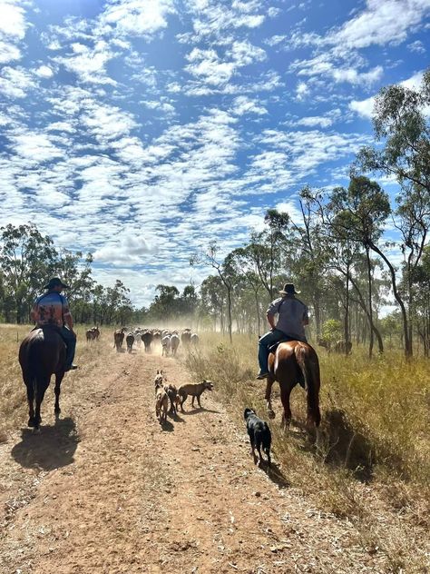 Australian Cattle Station, Aussie Country Aesthetic, Australian Country Aesthetic, Cattle Ranch Aesthetic, Country Lifestyle Farm Life, Australian Ranch, Ranching Lifestyle, Cattle Station, Australian Farm