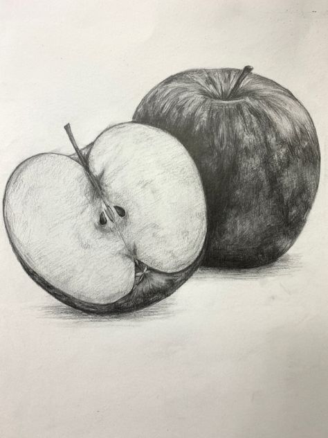 Fruits Pencil Sketch, Fruit Shading Drawing With Pencil, Fruits Sketch, Sketch Fruit, Easy Still Life Drawing, Fruit Drawings, Easy Drawing Step By Step, Still Life Sketch, Fruit Sketch