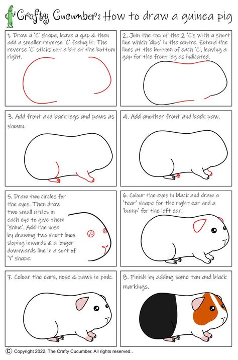 How To Draw A Guinea Pig Easy, How To Draw Guinea Pigs, Cute Guinea Pig Drawings, Guinea Pig Drawing, Pig Drawing Easy, Pig Painting, Pig Crafts, Doodle Paint, Pig Drawing