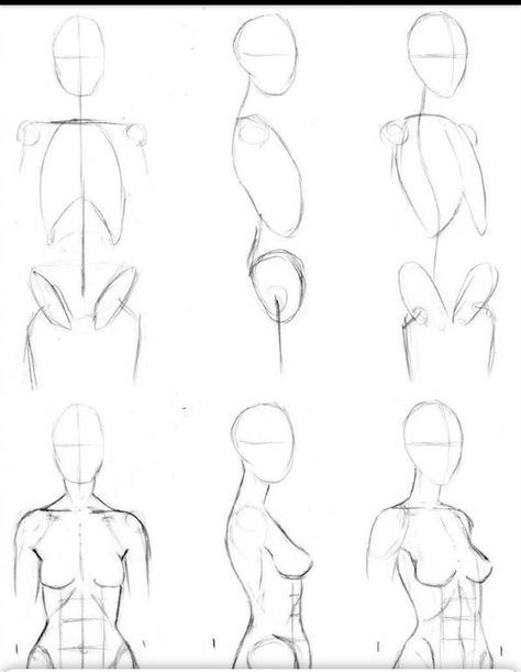 Body Structure Drawing Human Figures, How To Draw A Figure Step By Step, Anatomy Drawing Woman, Body Step By Step Drawing, Anatomy Female, Drawing Anime Bodies, Human Body Drawing, Drawing Female Body, Art Painting Tools