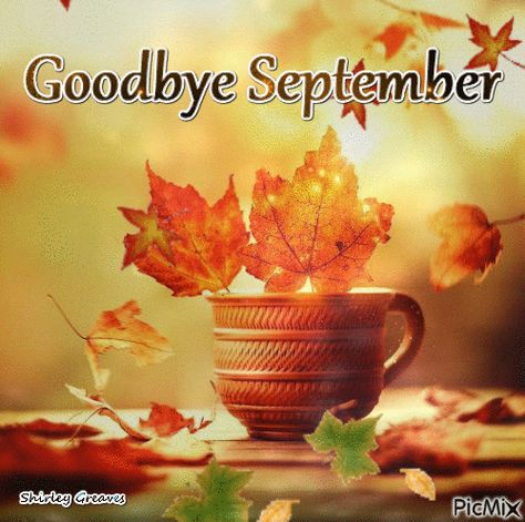 Good Bye September Quotes, Goodbye September Quotes, Good Bye September Hello October, Good Bye September, Goodbye September Hello October, Bye September, Goodbye September, September Born, New Month Wishes