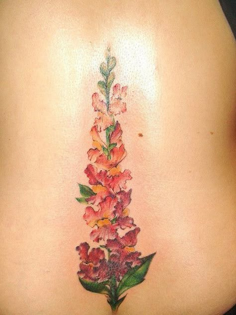 Snap Dragon Tattoo, Tj Tattoo, Snapdragon Tattoo, Hanna Tattoo, Snap Dragon, Snapdragon Flowers, Tat Inspiration, July Birth Flower, Bestie Tattoo