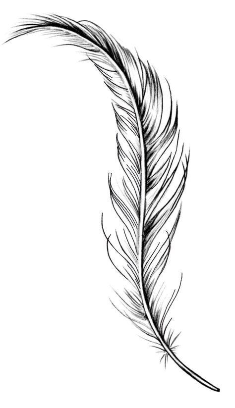 Feather Tattoo Template, Feather Tattoo Drawing, Feather Pen Tattoo, Nina Tattoo, Boy Mom Tattoo, Feathers Drawing, Eagle Feather Tattoos, Quill Tattoo, Feather Sketch