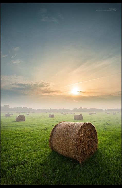 Visualisation Techniques, Rural Photography, Blur Photo Background, Photo Background Images Hd, Bear With Me, Cool Backgrounds Wallpapers, Hay Bales, Black Background Images, New Background Images