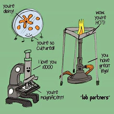 Medical Laboratory and Biomedical Science: Tools of Microbiology Biology Puns, Biology Jokes, Lab Humor, The Awkward Yeti, Biology Humor, Science Puns, Nerd Jokes, Chemistry Jokes, Biology Classroom